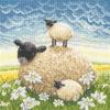 Bothy Threads Double Trouble Counted Cross Stitch Kit view 1