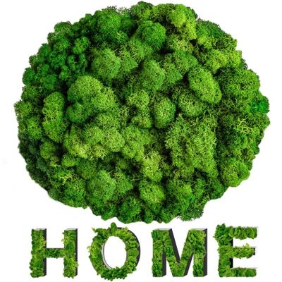 3.5 OZ Preserved Moss for Crafts - Sukh Green Reindeer Moss for DIY Art, Wall Decor, Indoor Projects, Decorative Fake Moss for Terrarium, Garden, Fairy Displays, Wall Art Easter Decor