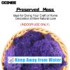 CCINEE Moss Preserved, 4 OZ Fake Reindeer Moss for Potted Plants for Craft Arts Floral Wall Decor Wedding Centerpieces Fairy Garden Artificial Terrariums Decoration for Christmas(Purple) view 2