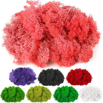CCINEE Moss Preserved, 4 OZ Fake Reindeer Moss for Potted Plants for Craft Arts Floral Wall Decor Wedding Centerpieces Fairy Garden Artificial Terrariums Decoration for Christmas(Pink)