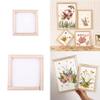 NineTribe Basics Paper Making Kit, Wooden Screen, Nature Dried Flowers, Sponge, DIY Paper Craft (Teen, Unisex, All Seasons, Modern, Nature, Floral, False) view 4