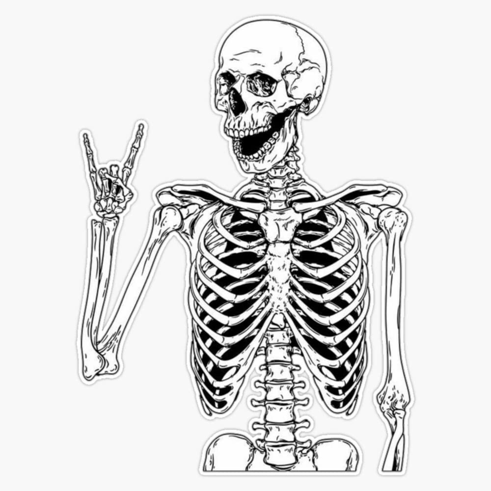 Skeleton Sticker Decal Size 5"