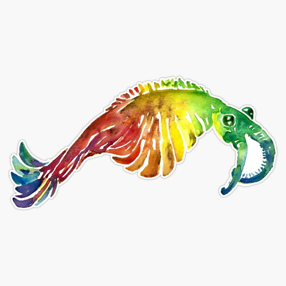 Watercolor Fossil Anomalocaris in Rainbow Sticker Decal Size 5"