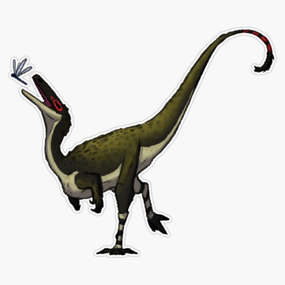 Coelophysis Sticker Decal Size 5"