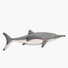Neonate Ichthyosaurus Communis Sticker Decal Size 5" view 1