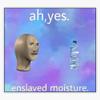 Ah, Yes. Enslaved Moisture Sticker Decal Size 5" view 1