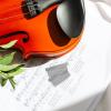 Vaguelly Guitar Bow Small Bows Guitar Bow 2pcs Bow Hair Combs Horse Hair Combs Violin Bow Hair Combing Tools Erhu bow comb Strings Violin Bridge Violin Bridge Braid Aid view 3