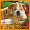 KS Custom Diamond Painting from Photo DIY Custom Diamond Art Kits for Adult 5D Personalized Customized Photo Diamond Painting Art Pictures (1216inch/3040cm, Round + Velvet Canvas) view 1