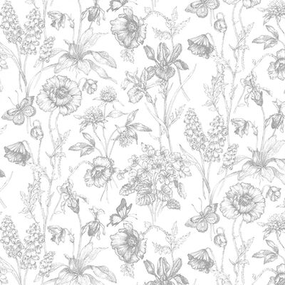 Timeless Treasures Graphite CD1812 White Butterscup Floral Sketch