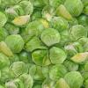 Realistic Green Cabbage Fabric, Green Vegetable, Apron, Cooking, Kitchen, Food Quilt Fabric by The Yard, 100% Cotton, Legnth 1 Yard view 1