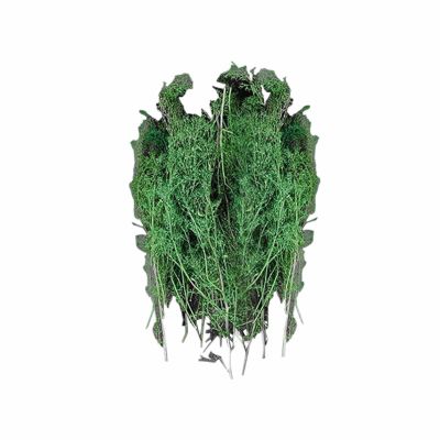 Vaveren Miniature Trees Fake Trees 1/35 1/48 1/72 1/87 Decoration Train Scenery Sand Layout Model, Green