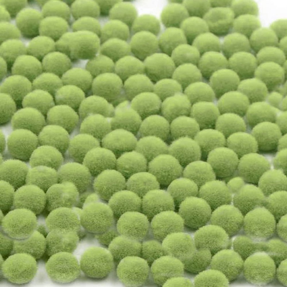 1000 Pieces 1 Inch Craft Pom Poms, Christmas Fuzzy Pompom Puff Balls, Small Pom Pom Balls for DIY Arts, Crafts Projects, Christmas Home Decorations (C38-Olive Green)