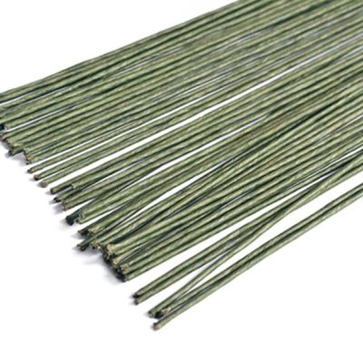 2 Gauge Green Floral Paper Wrapped Wire 16 inch, Florist Flower Stems Floral Wire 100 Pcs (2mm)