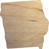 Iowa Wooden State 22" Cutout, Unfinished Real Wood State Shape, Craft view 1