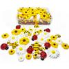 glacely 120pcs Mini Resin Bee Daisy Flowers Decor and Ladybugs Embellishments, Including 30 Pcs Tiny Resin Ladybug 30 Pcs Bee and 60 Pcs Sunflower Decorations for DIY Craft Cloth Pen Box Home Decor view 1