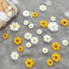 glacely 120pcs Mini Resin Bee Daisy Flowers Decor and Ladybugs Embellishments, Including 30 Pcs Tiny Resin Ladybug 30 Pcs Bee and 60 Pcs Sunflower Decorations for DIY Craft Cloth Pen Box Home Decor view 3