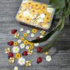 glacely 120pcs Mini Resin Bee Daisy Flowers Decor and Ladybugs Embellishments, Including 30 Pcs Tiny Resin Ladybug 30 Pcs Bee and 60 Pcs Sunflower Decorations for DIY Craft Cloth Pen Box Home Decor view 4