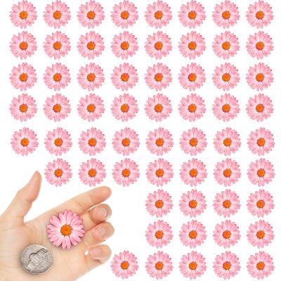CyHiThai Pink Dried Little Daisy Flowers for Resin, 60PCS Natural Pressed Flowers for Resin Crafts Jewelry DIY Phone Case Decor Candle Making Decoration