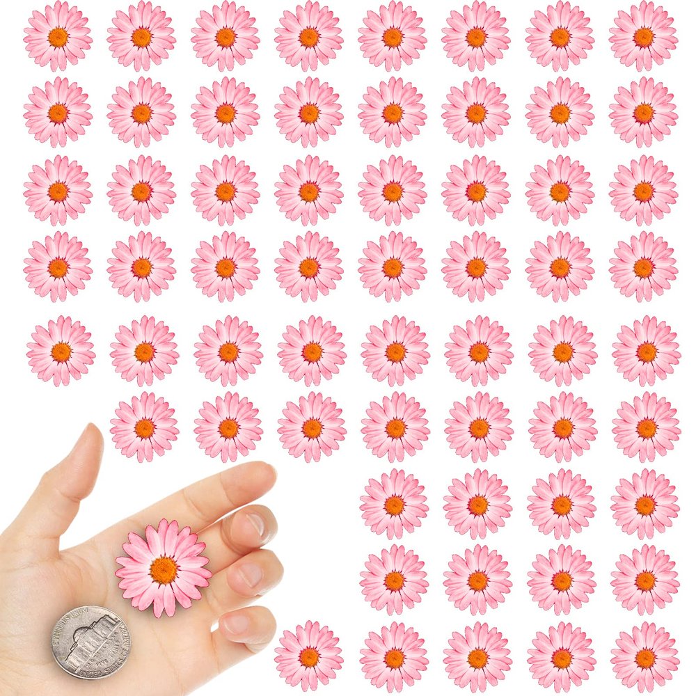 CyHiThai Pink Dried Little Daisy Flowers for Resin, 60PCS Natural Pressed Flowers for Resin Crafts Jewelry DIY Phone Case Decor Candle Making Decoration