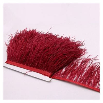 Ostrich Feathers Trim, Multicolor Plumes Fringe Trim 10 Meters/lot 10-15 CM Soft Dyed Fringe Ostrich Feathers Trimming Ribbon Clothing Trim Decoration (Color : Burgundy, Size : 10-15 cm)