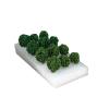 MOUDOAUER 12Pcs Model Bush Tree Scene Plastic for Forest HO Scale Model Railway Scenery Diorama Supplies Scenery Landscape view 4