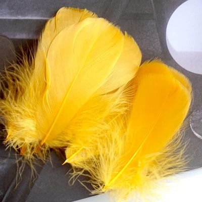 100Pcs Gold Natural Dyed Goose Feathers, 3-5Inch Craft Feathers Assorted Colors Feathers for Hat DIY Craft Wedding Party Birthday Clothing Decorations