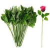 YOLUFER 50Pcs Flower Wire stem Plastic Artificial Flower Crafts Green stem Wire with Leaves DIY Crafts Bouquet Making Flower Arrangement Tools view 1
