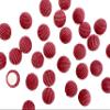 PEPPERLONELY 50PC Corduroy Fabric Cloth Covered Round Flat Back Buttons 15mm, Red view 2