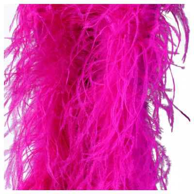 homeemoh 1 Meter Ostrich Feather Boa 10-Ply Costume Feather Shawl for Women Fluffy Feather Boa Trim for Halloween Masquerade