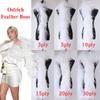 homeemoh 1 Meter Ostrich Feather Boa 10-Ply Costume Feather Shawl for Women Fluffy Feather Boa Trim for Halloween Masquerade view 2