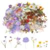 120 Pcs Flower Stickers for Scrapbooking Self-Adhesive Scrapbooking Stickers Supplies Decorative Floral Sticker Journaling Supplies Pressed Flower Sticker Set for Adult Card Making Letters DIY view 1