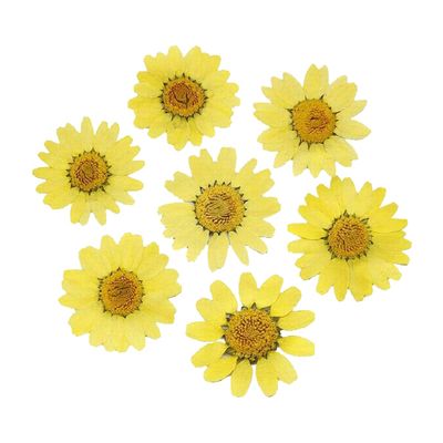 jweemax 120PCS Natural Dried Flower Head, Real Pressed Dried Daisy for Scrapbooking, DIY, Art Craft, Soap Making, Yellow