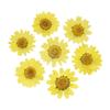 jweemax 120PCS Natural Dried Flower Head, Real Pressed Dried Daisy for Scrapbooking, DIY, Art Craft, Soap Making, Yellow view 1