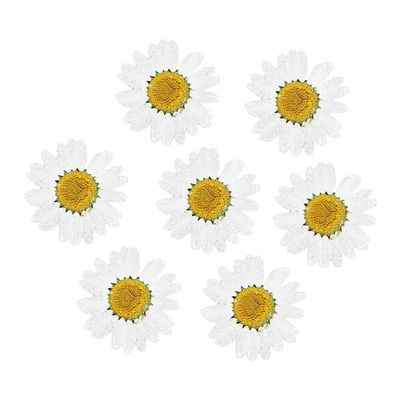 jweemax 120PCS Natural Dried Flower Head, Real Pressed Dried Daisy for Scrapbooking, DIY, Art Craft, Soap Making, White