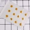 jweemax 120PCS Natural Dried Flower Head, Real Pressed Dried Daisy for Scrapbooking, DIY, Art Craft, Soap Making, White view 3