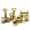 SLOYCA 10pcs Solid Brass Binding Screws Nail Stud Rivets for Photo Album Leather Craft Studs Belt Wallet Fasteners 8mm Dome Cap (Color : 10Pcs, Size : 4mm) view 3
