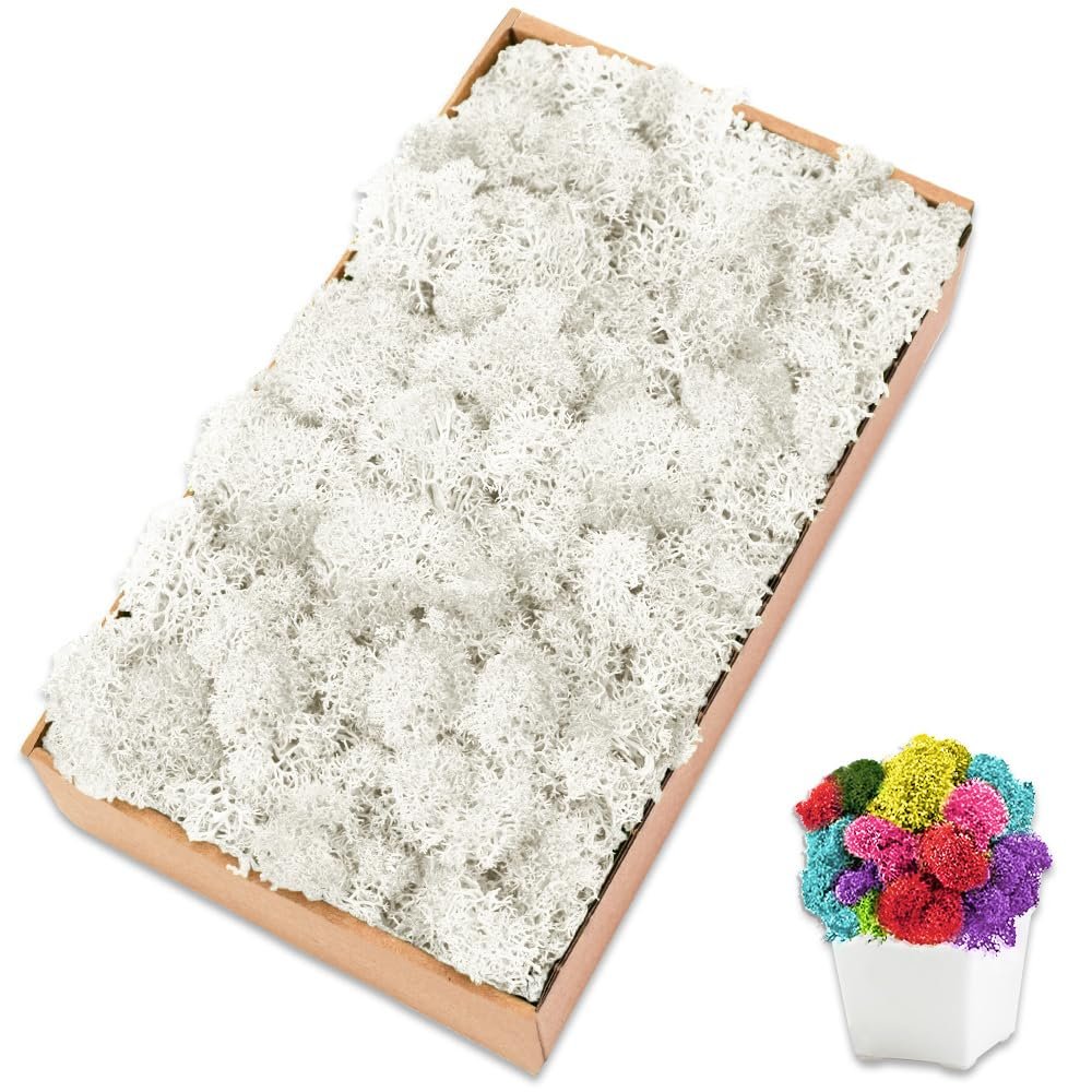 TCYPUHL Preserved Moss for Crafts Green Reindeer Moss for Potted Plants, Craft Decorative Moss Decor for Wall Art, Dried Moss(7oz,White)