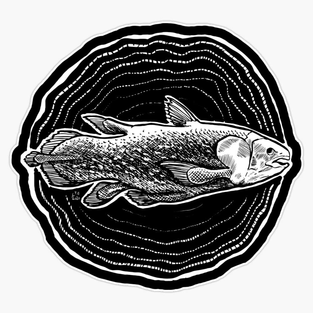 Coelacanth - The Living Fossil Sticker Decal Size 5"