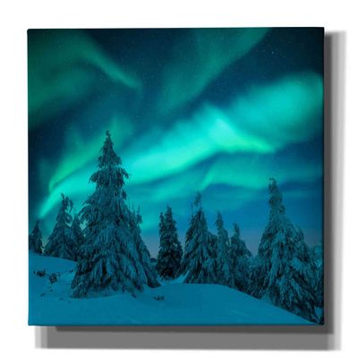 Epic Graffiti 'Northern Lights In Winter Forest 2' by Epic Portfolio, Giclee Canvas Wall Art, 60"x40"