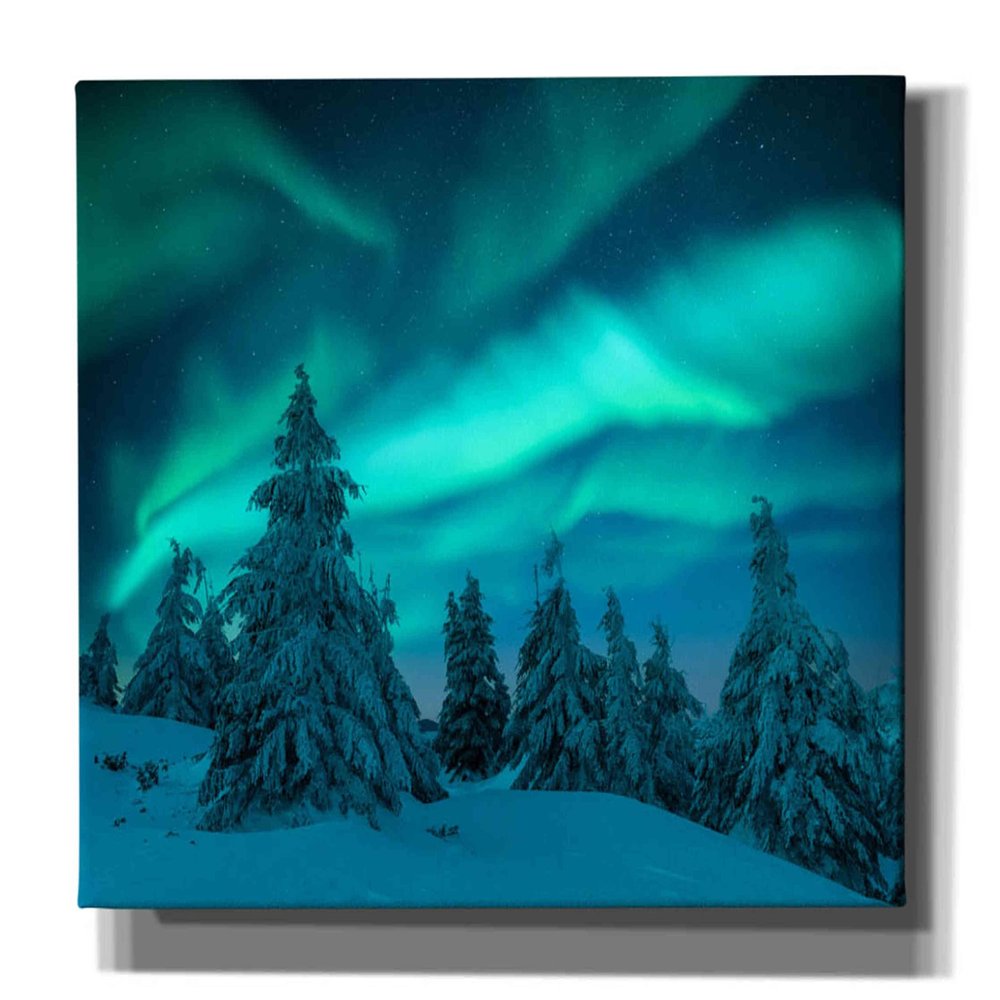 Epic Graffiti 'Northern Lights In Winter Forest 2' by Epic Portfolio, Giclee Canvas Wall Art, 60"x40"