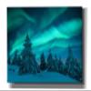 Epic Graffiti 'Northern Lights In Winter Forest 2' by Epic Portfolio, Giclee Canvas Wall Art, 60"x40" view 1