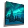 Epic Graffiti 'Northern Lights In Winter Forest 2' by Epic Portfolio, Giclee Canvas Wall Art, 60"x40" view 2