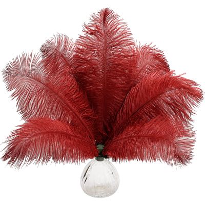 10pcs Natural Wine Red Ostrich Feathers 12-14inch 30-35cm for Wedding Party Centerpieces, Easter Home Decorations