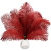 10pcs Natural Wine Red Ostrich Feathers 12-14inch 30-35cm for Wedding Party Centerpieces, Easter Home Decorations view 1