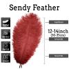 10pcs Natural Wine Red Ostrich Feathers 12-14inch 30-35cm for Wedding Party Centerpieces, Easter Home Decorations view 2