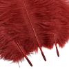 10pcs Natural Wine Red Ostrich Feathers 12-14inch 30-35cm for Wedding Party Centerpieces, Easter Home Decorations view 4