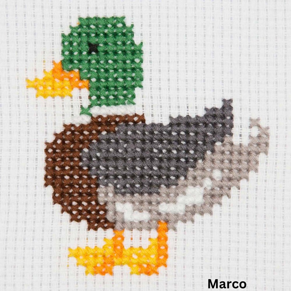 Anchor Counted Cross Stitch kit Marco First Kit, 10x10cm, DIY