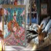 RTO Counted Cross Stitch kit Warm Dreams, 30x30cm, DIY view 3