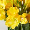 Factory Direct Craft Yellow Artificial Freesia Bouquet for Spring Decorating and Summer Arrangements view 3