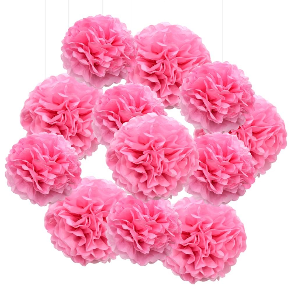 Hocansen 12Pcs Tissue Paper Pompoms 10in+12in Paper Pom Poms Flowers Fluffy Paper Flower Ball for Wall Party Hanging Decoration (RQH/Pink)
